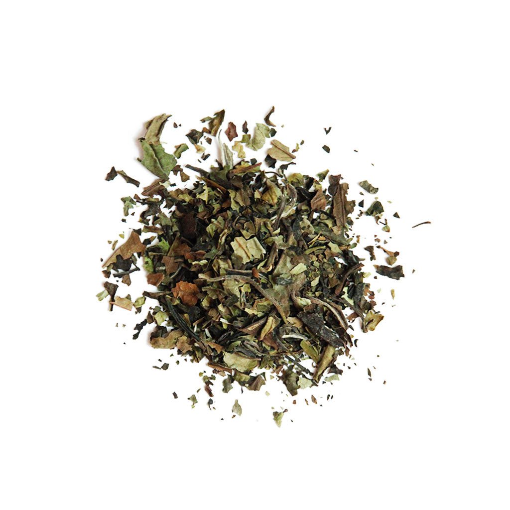 Shining Bright Malawian White Tea