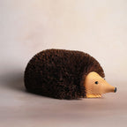 Shoe Cleaning Hedgehog