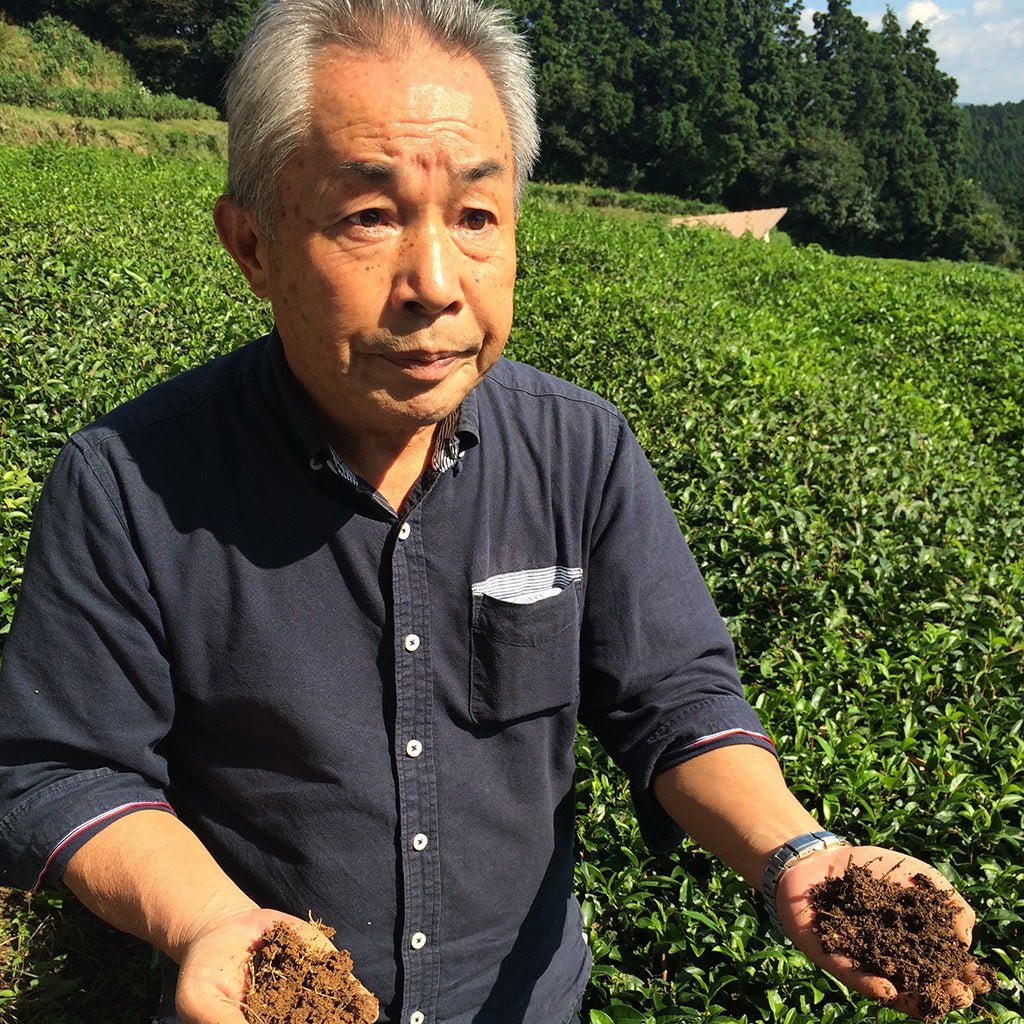 The Greenest Green Tea