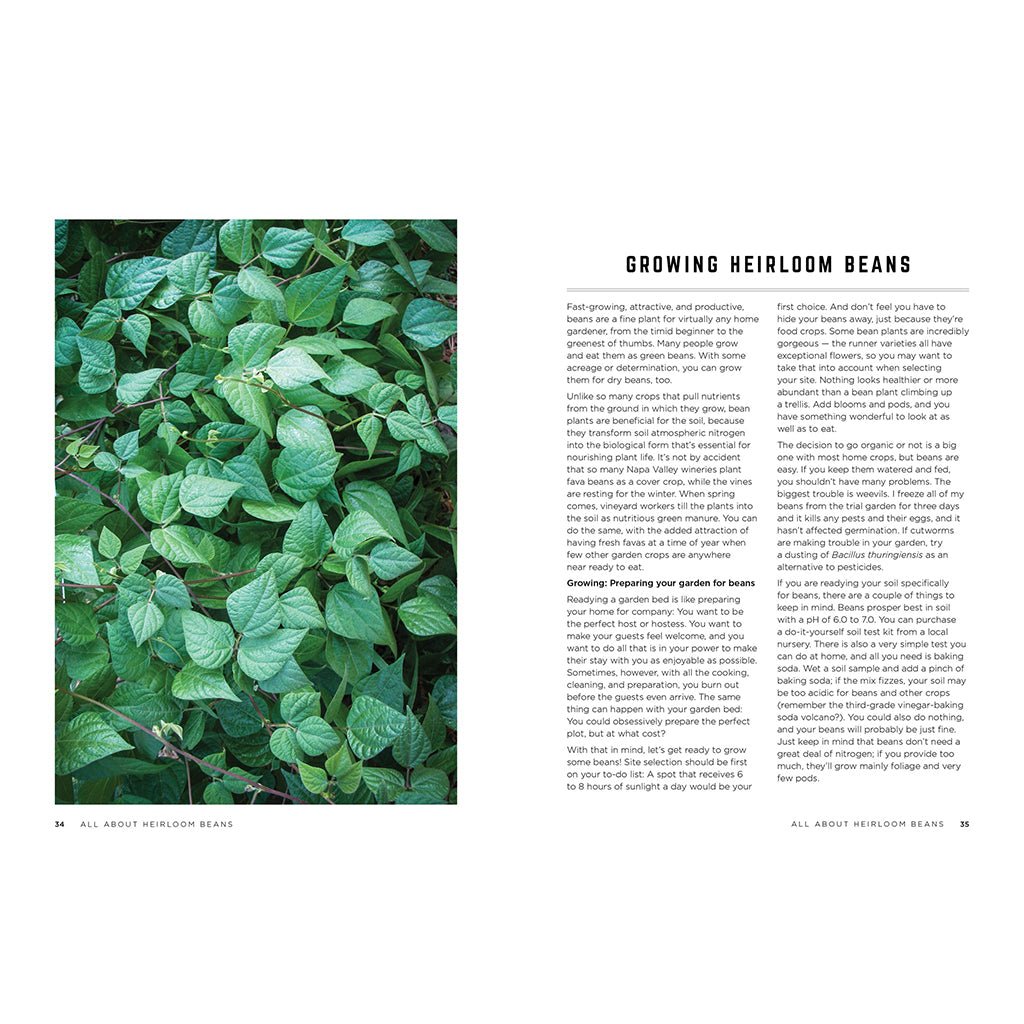 The Rancho Gordo Heirloom Bean Guide