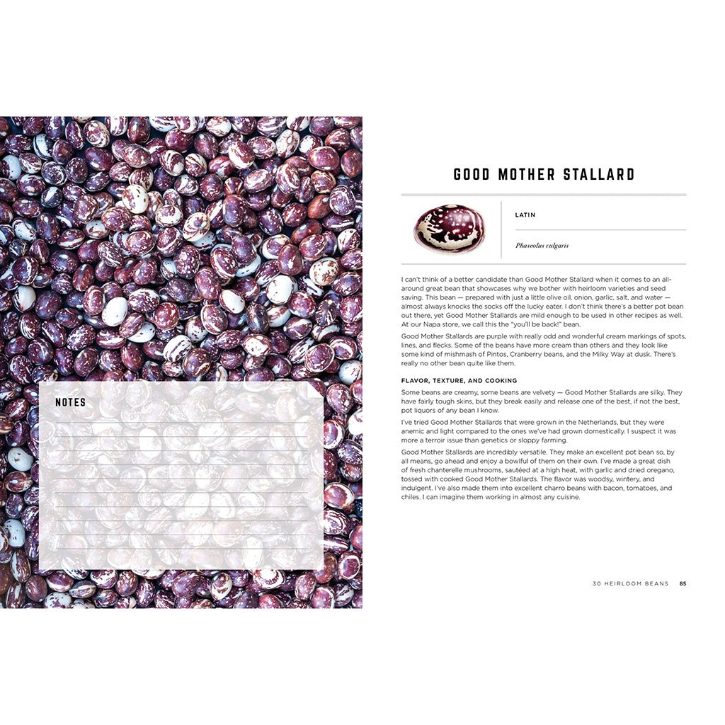 The Rancho Gordo Heirloom Bean Guide