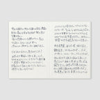 Traveler's Passport Notebook Refill Lightweight Paper - P005