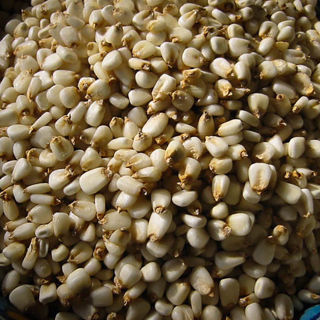 White Corn Posole/Prepared Hominy